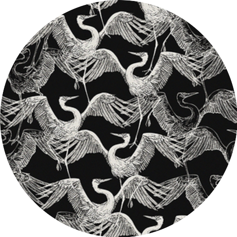 Birds of Mind
