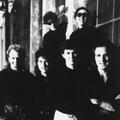 The Rippingtons & Russ Freeman