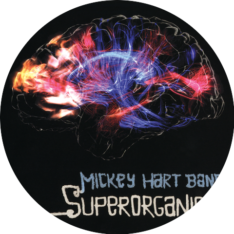 Mickey Hart Band