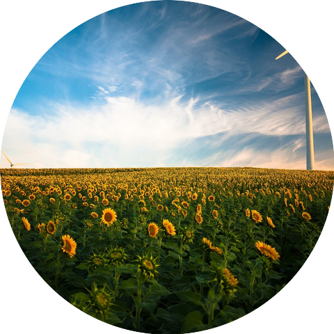 Wind Sounds for Sleep