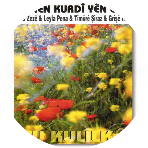 Grûp Kurdî