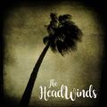 The Headwinds