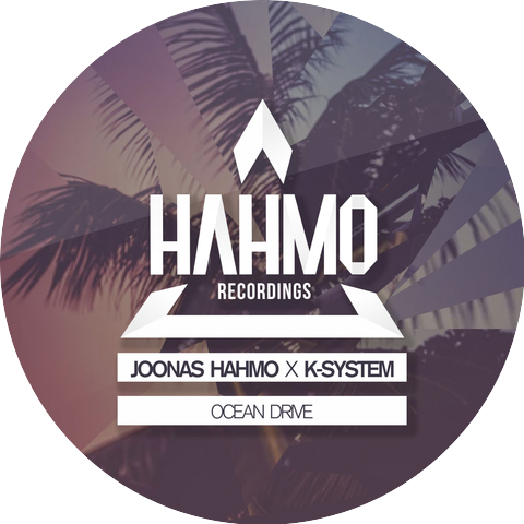 Joonas Hahmo X K-System