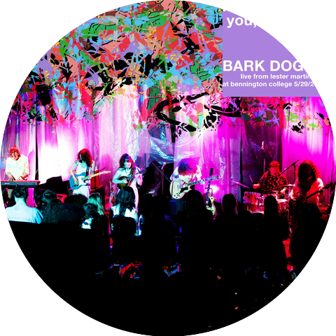 Bark Dog