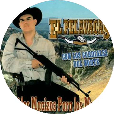 EL PELAVACAS