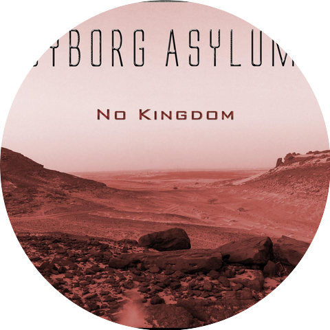Cyborg Asylum