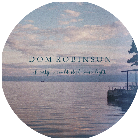 Dom Robinson