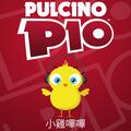 Pulcino Pio