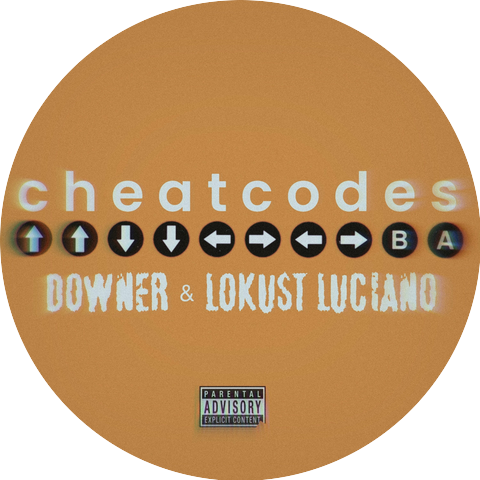 DL Down3r