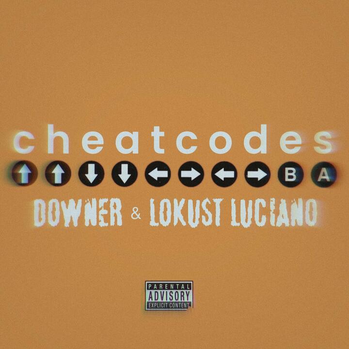 DL Down3r
