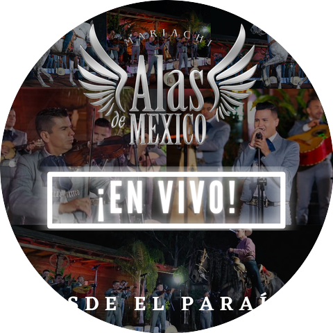 Mariachi Gallos De Mexico