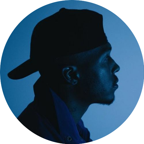 Artistnameleon