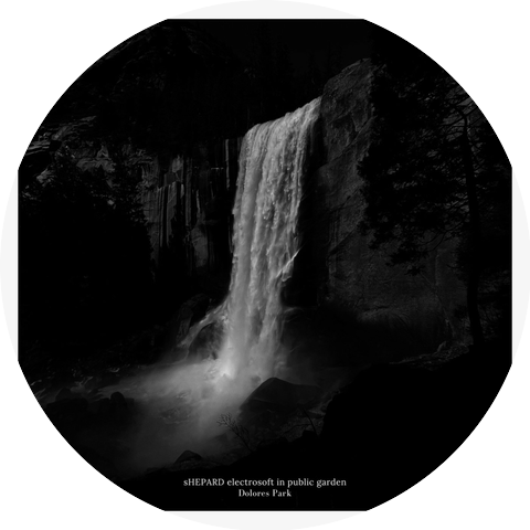 Shepard Electrosoft in Public Garden