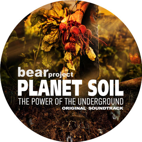 Bear Project