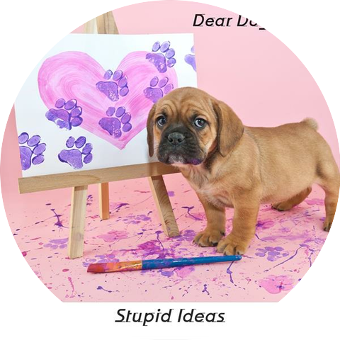 Stupid Ideas