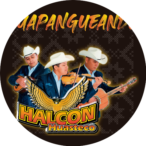Halcon Huasteco