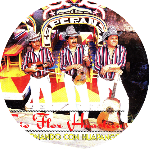 Trio Flor Huasteca
