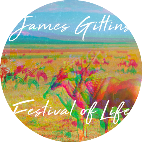 James Gittins