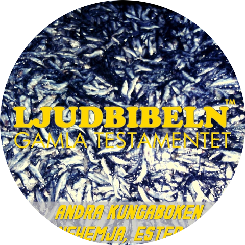 Ljudbibeln Gamla Testamentet