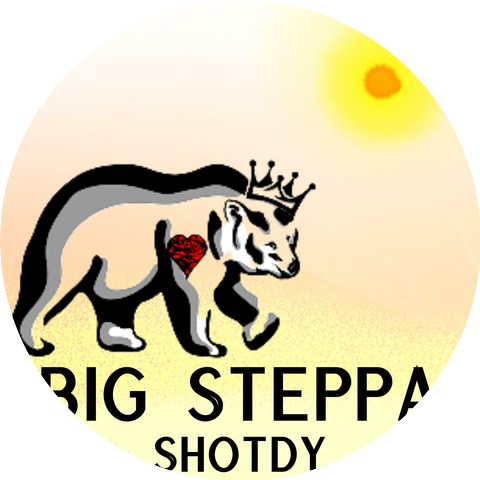 Shotdy