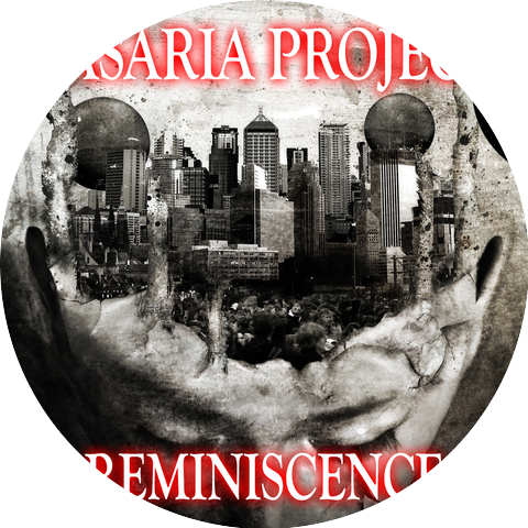Vasaria Project