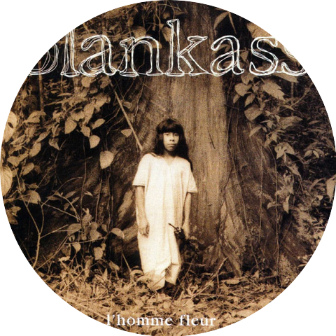Blankass Avec Spider Stacy
