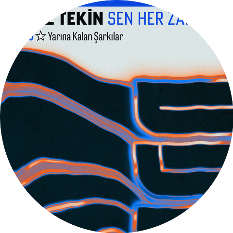 Deniz Tekin