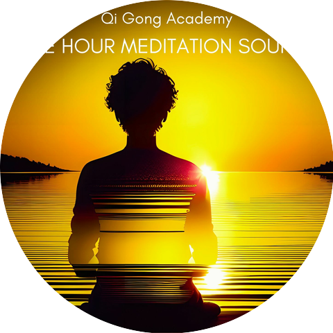 Qi Gong Academy