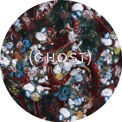 (ghost)