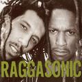 Raggasonic - Desmond - Leaf Nuts