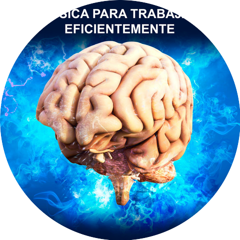 La Concentracion