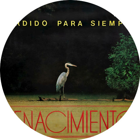 Renacimiento 74