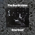 The Sea Urchins