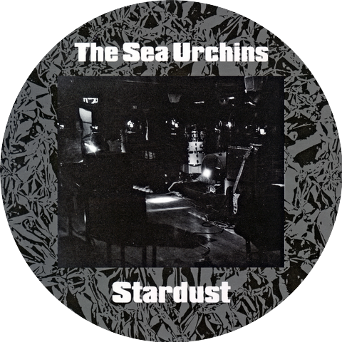 The Sea Urchins