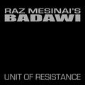 Seth Ayyaz vs. Badawi