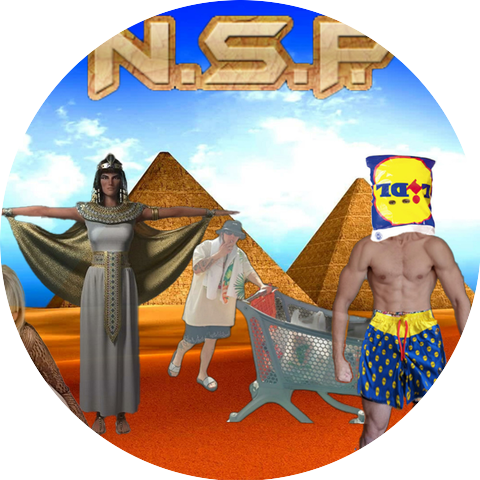 The N.S.P