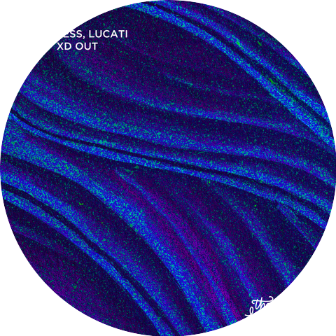 Dateless & Lucati