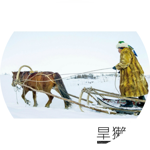 旱獭乐队