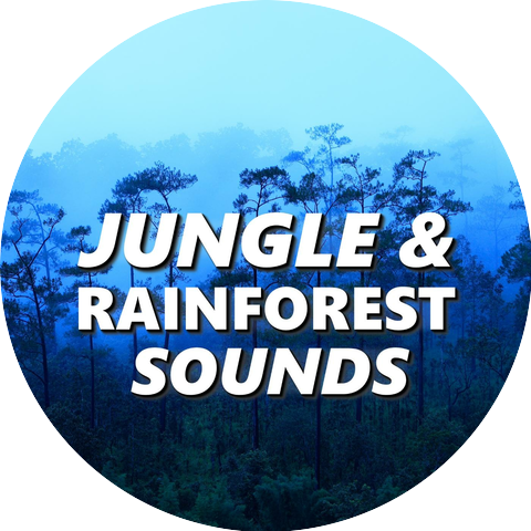 Jungle & Rainforest Sounds