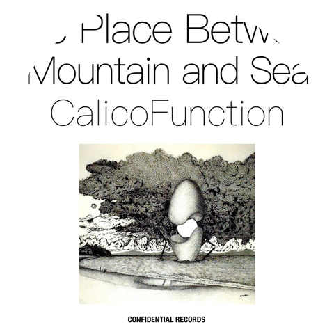 Calico Function
