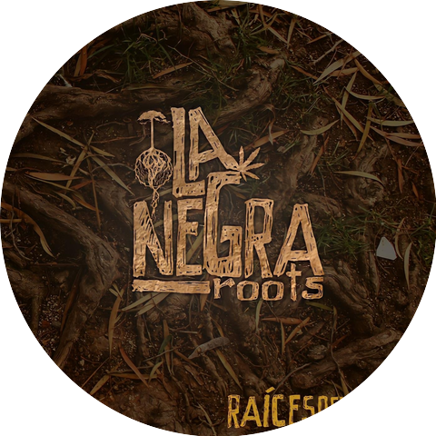 La Negra Roots