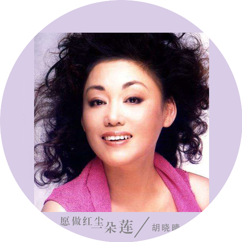 胡晓晴