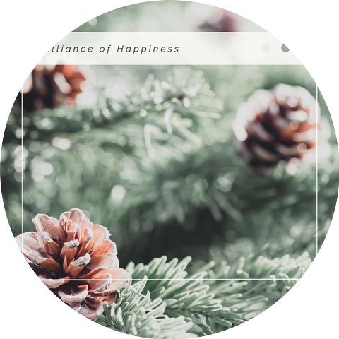 instrumental christmas music orchestra
