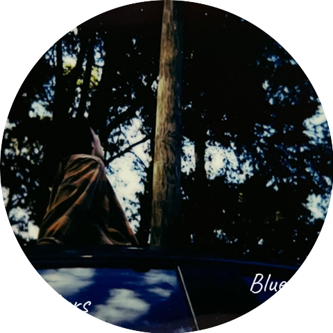 Blue & Jay