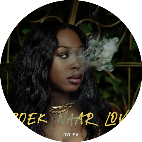 Dylisa