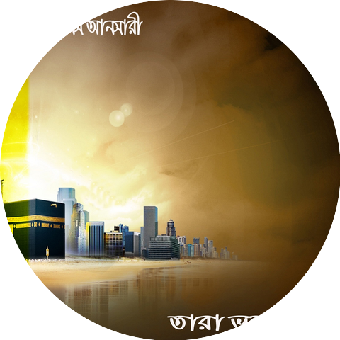 Anis Ansari