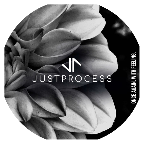 J U S T P R O C E S S