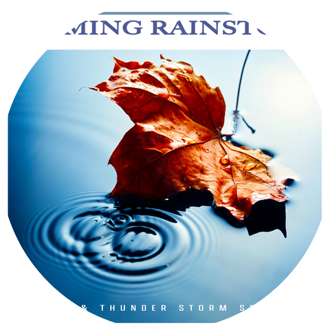 Rain & Thunder Storm Sounds