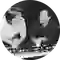 Steve Winwood (thumbnail)