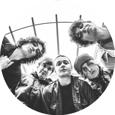 Cabbage